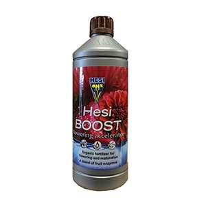 Hesi Boost