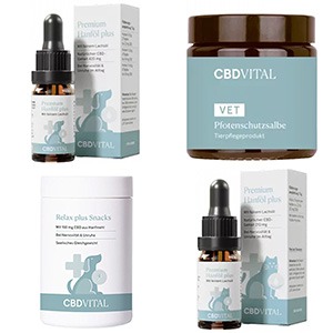 CBD für Hunde und katzen