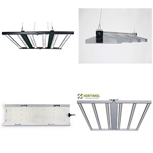 LEDs