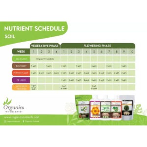 Organics Nutrients Big Start 0,5L